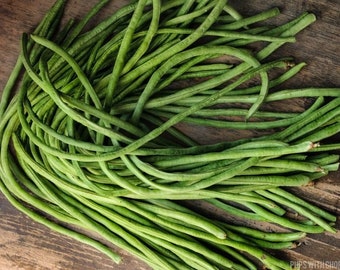 15 Yard Long Beans - Un Metro Ramp Seeds