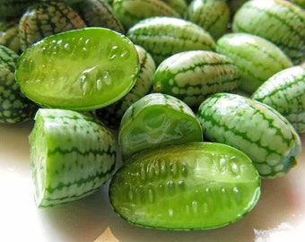 15 Cucamelon Seeds