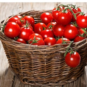 15 Sweetie Cherry Tomato Seeds