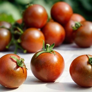 15 Cherry Berry Brown Tomato Seeds