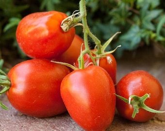 Könnte beinhalten: Eine Gruppe von fünf roten Tomaten, einige mit grünen Stielen, auf einer braunen Oberfläche.