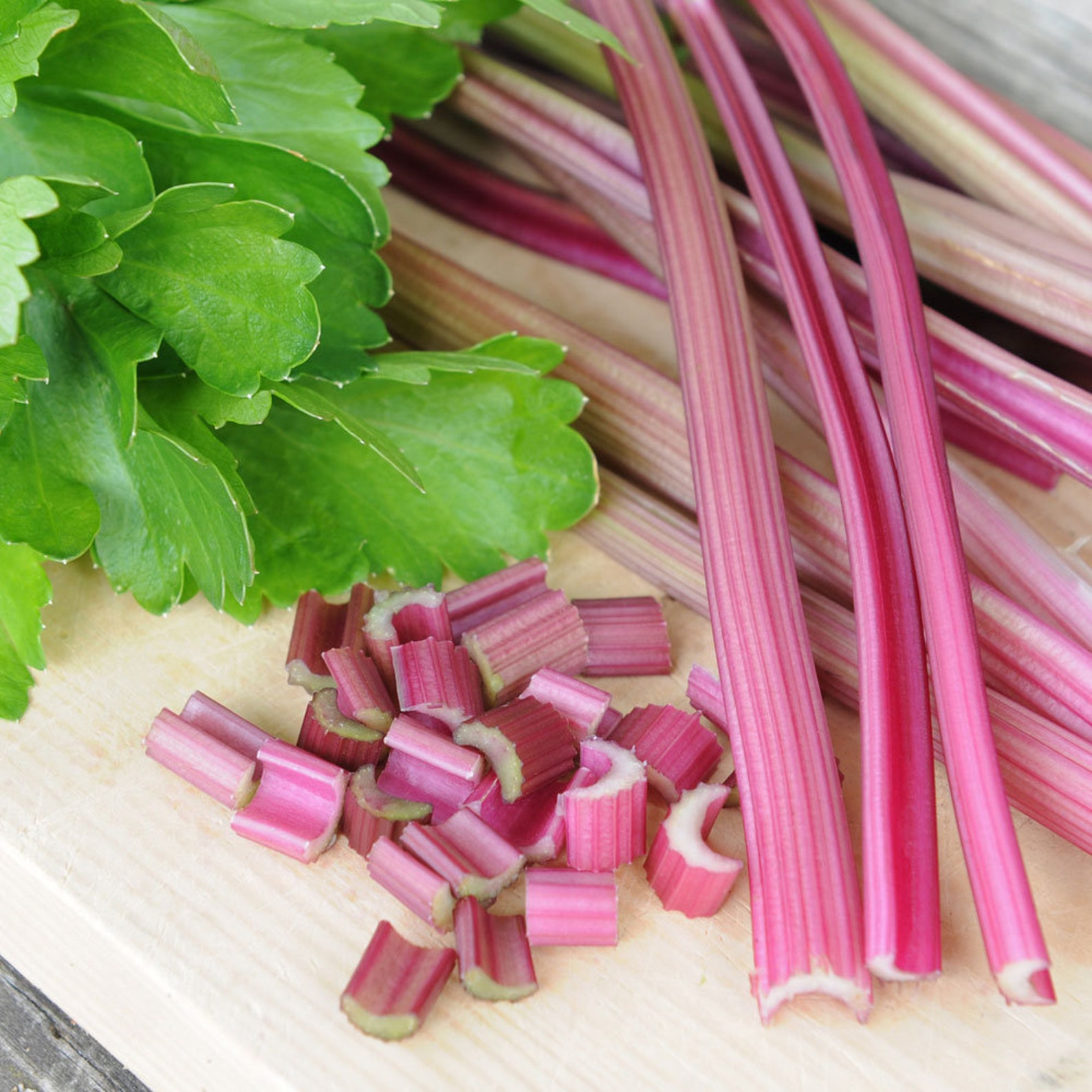 75 Peppermint Stick Celery Seeds Etsy UK