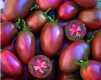 15 Ukrainian Purple Tomato Seeds