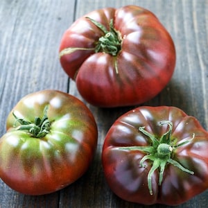 15 Black Brandywine Tomato Seeds - Heirloom