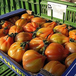 15 Charlie Chaplin Tomato Seeds