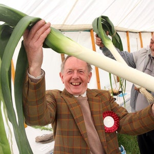 May include: Two people are holding up two large leeks, one of which is very long. The person on the left is smiling and wearing a plaid jacket. The person on the right is smiling and wearing a grey sweater.