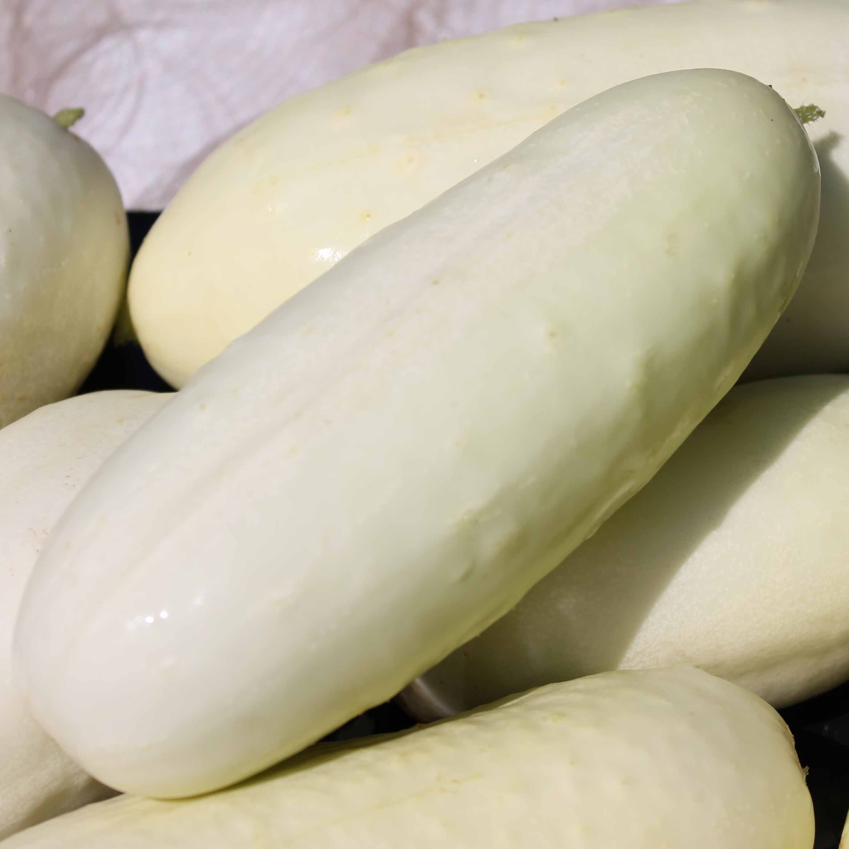 15 White Wonder Cucumber Seeds Etsy UK