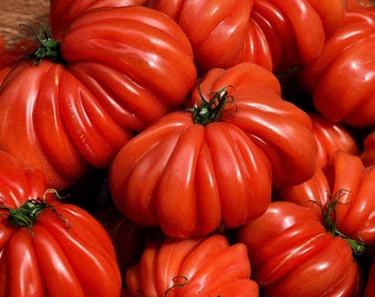 Könnte beinhalten: Nahaufnahme einer Gruppe roter, gerippter Erbstücktomaten. Die Tomaten liegen in einem Haufen übereinander.