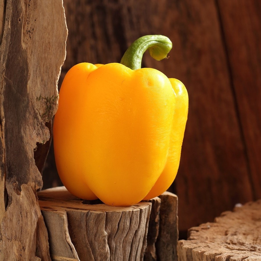25 Semillas de Golden California Wonder Bell Pepper Etsy