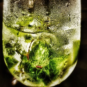 Shaken not Stirred  / cocktail  / drink / digital