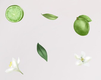 Lime Wall Decal | Etsy