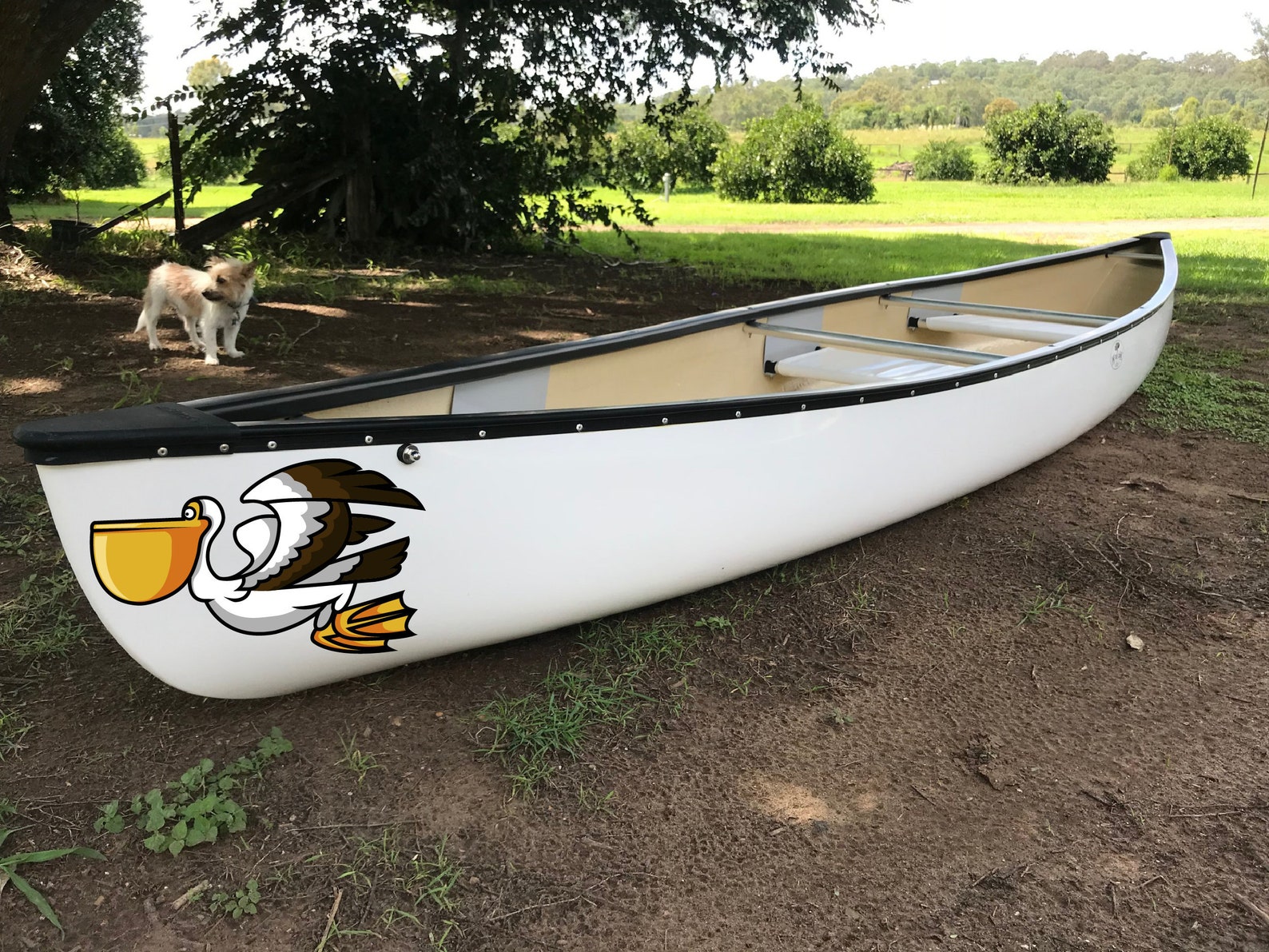 Pelican boat face Kayak Vinyl Decal Canoe Pelican Stickers Etsy