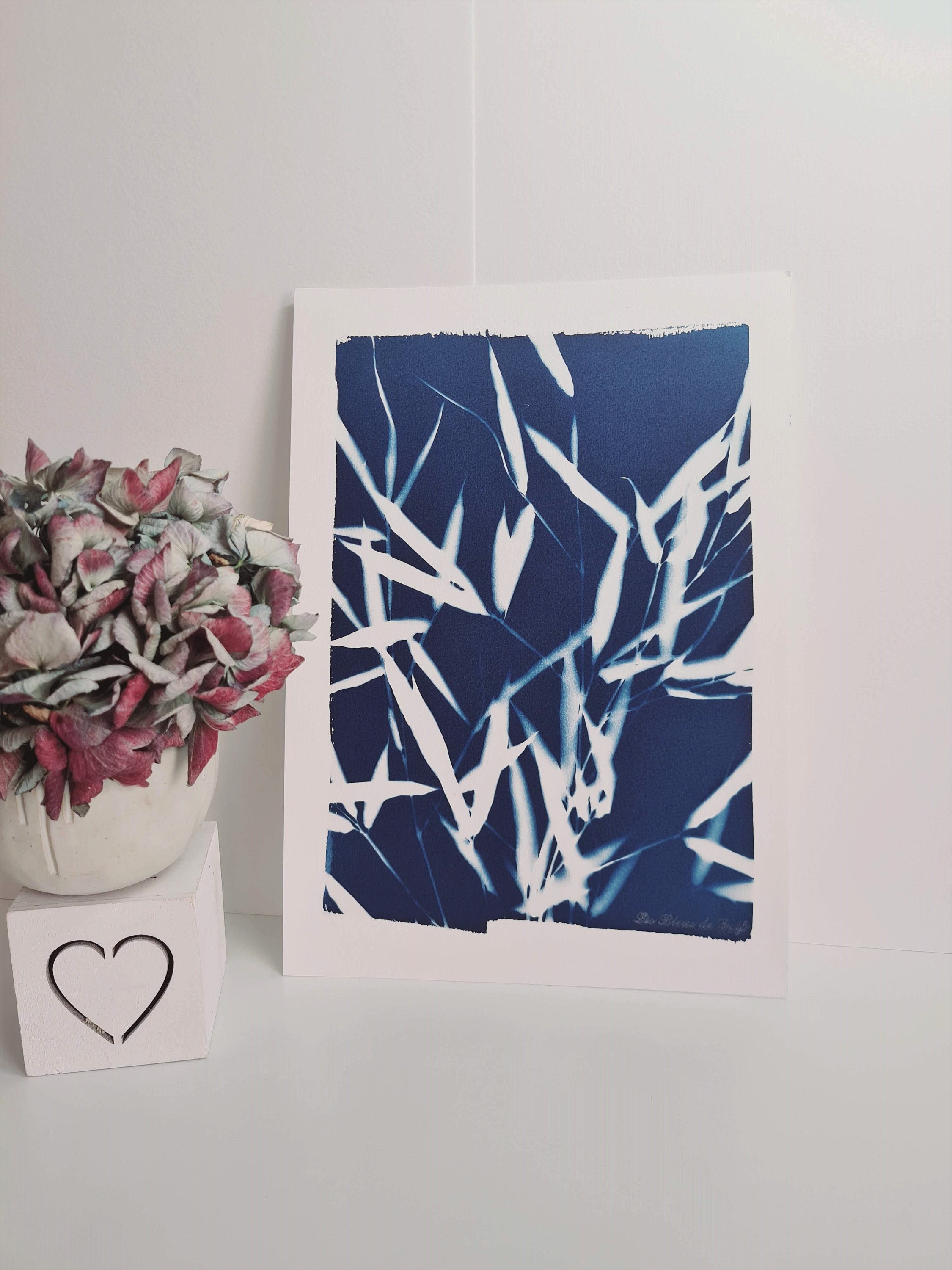 Délices Du Panda 2021 - Cyanotype Original Signé Les Bleus de Delf Format A4 | 21x29, 7 cm.