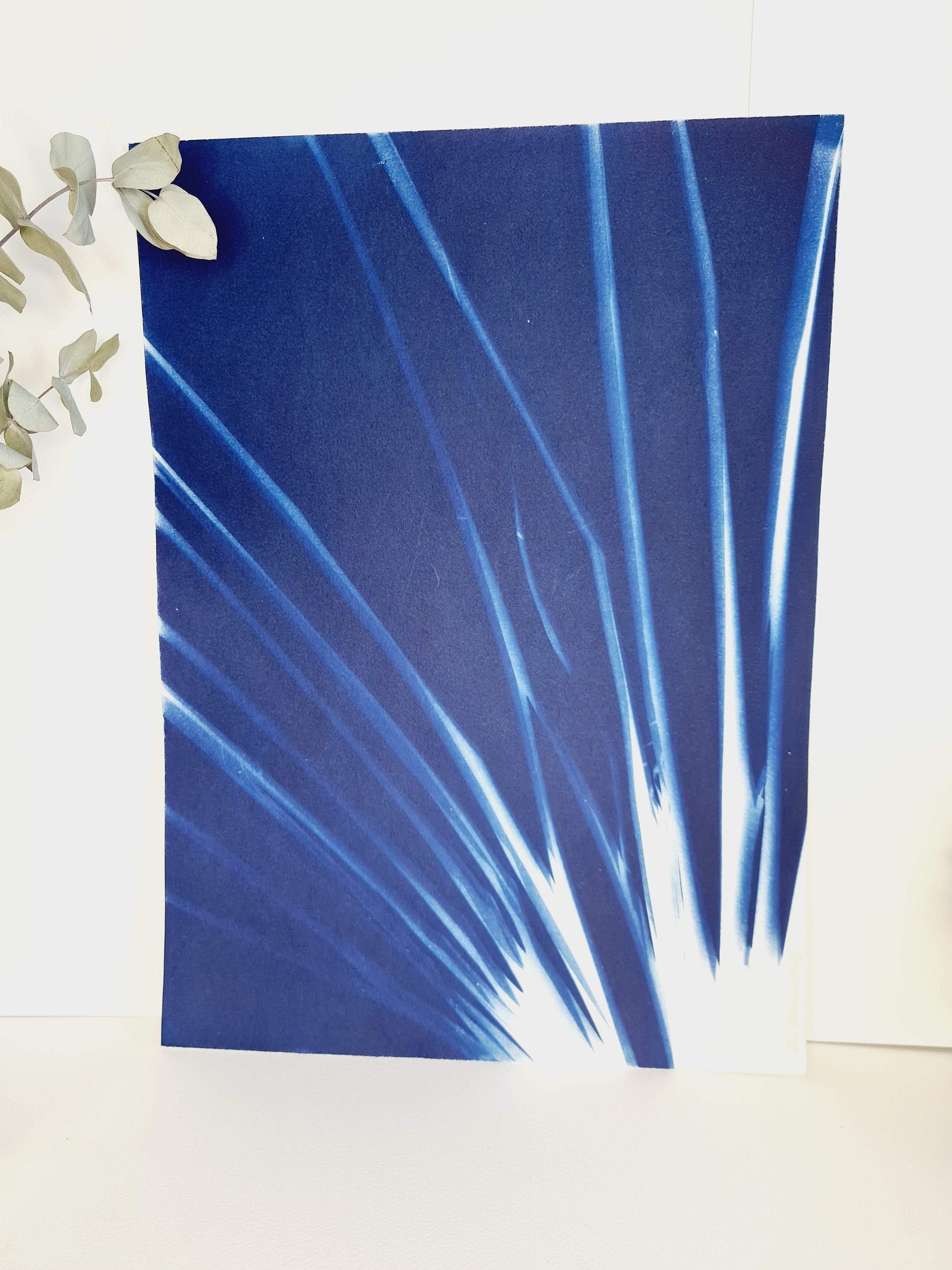 Enigmatique Palmier 2021 - Cyanotype Original Signé Les Bleus de Delf Format A3 | 40 cm X 29, 7 cm