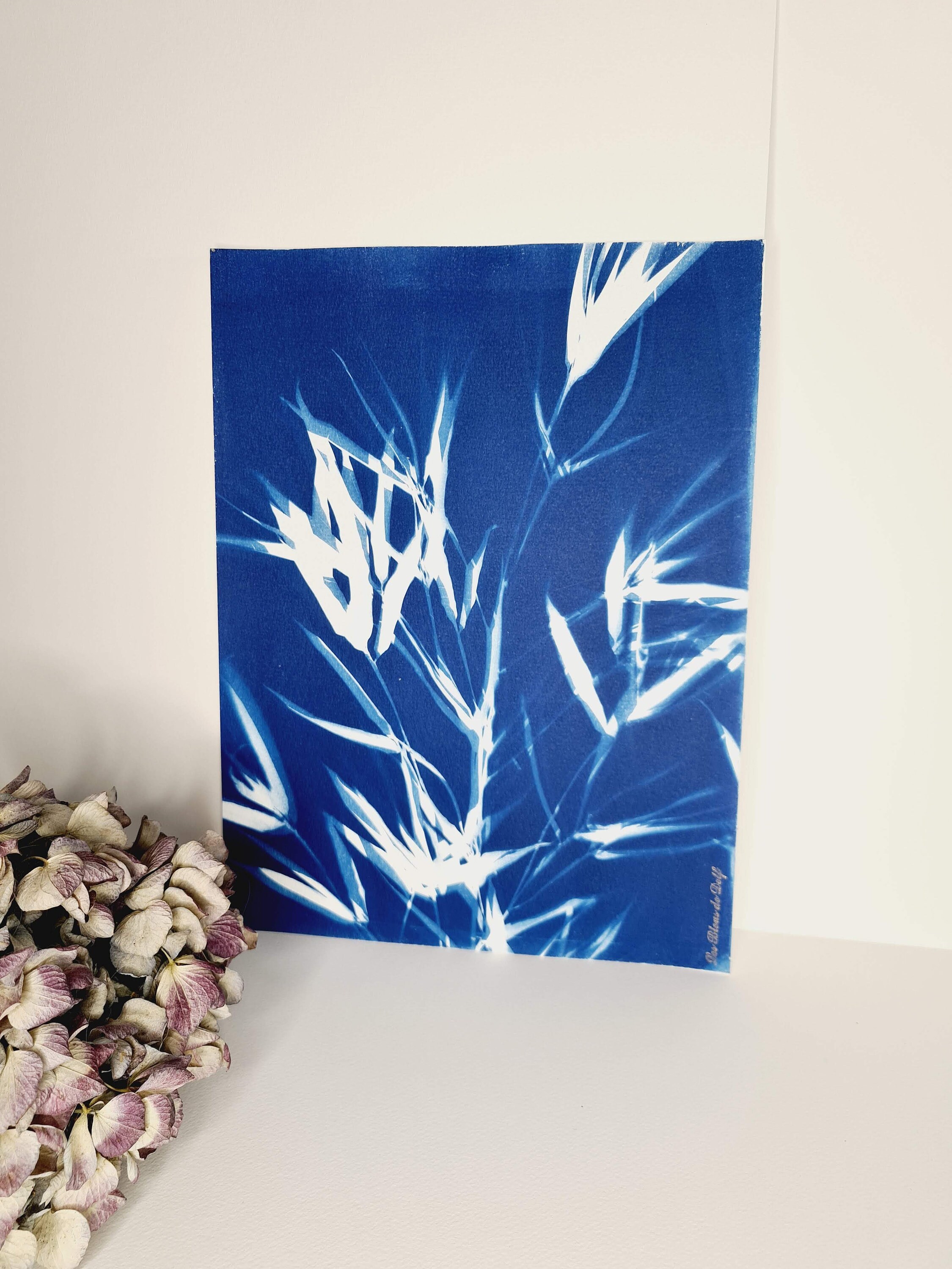 Bouquet de Bambou 2021 - Cyanotype Original Signé Les Bleus Delf Format 24 X 32 cm