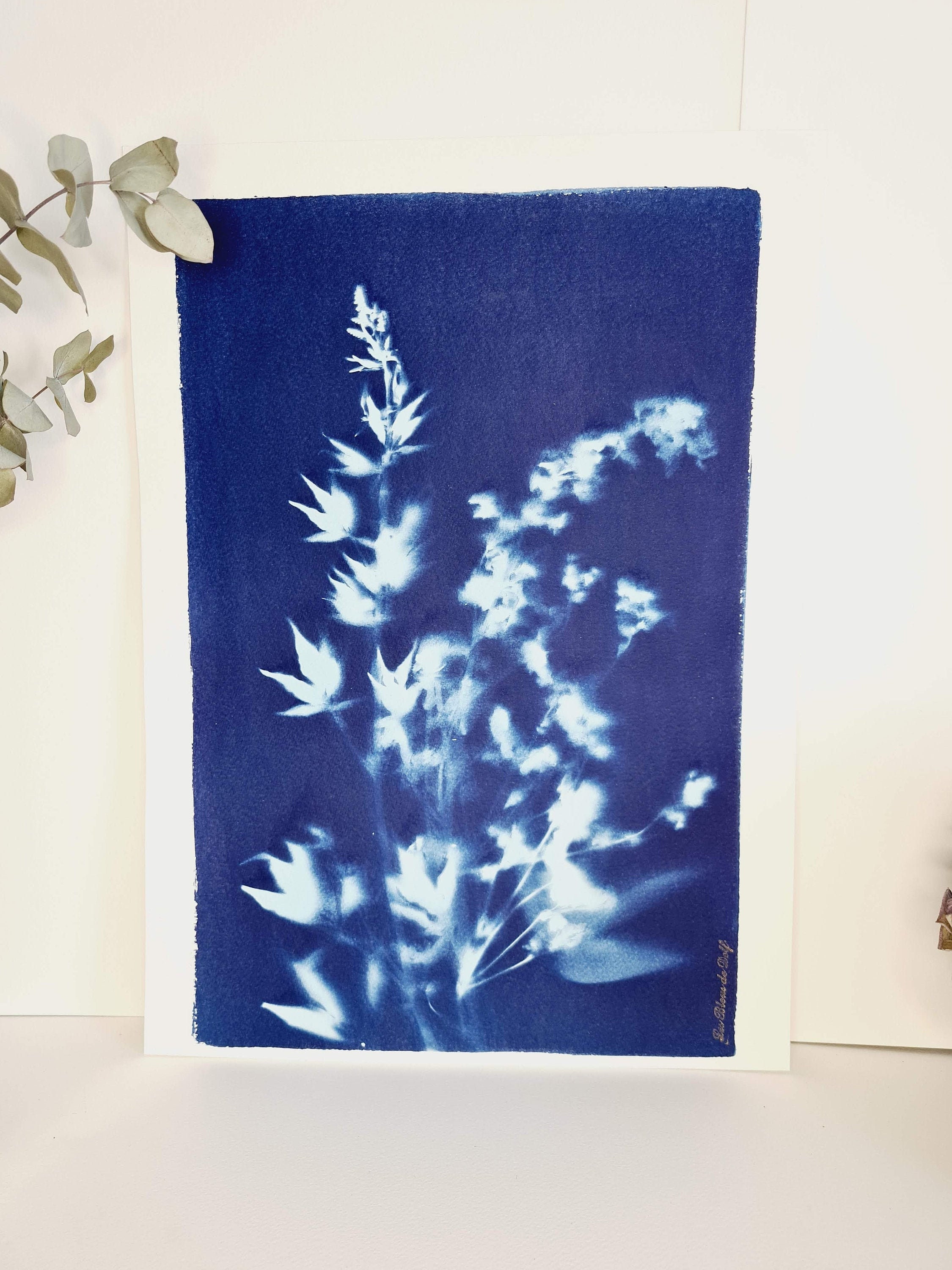 L' Arrivée Du Printemps 2021 - Cyanotype Original Signé Les Bleus de Delf Format A3 | 40 cm X 29, 7 