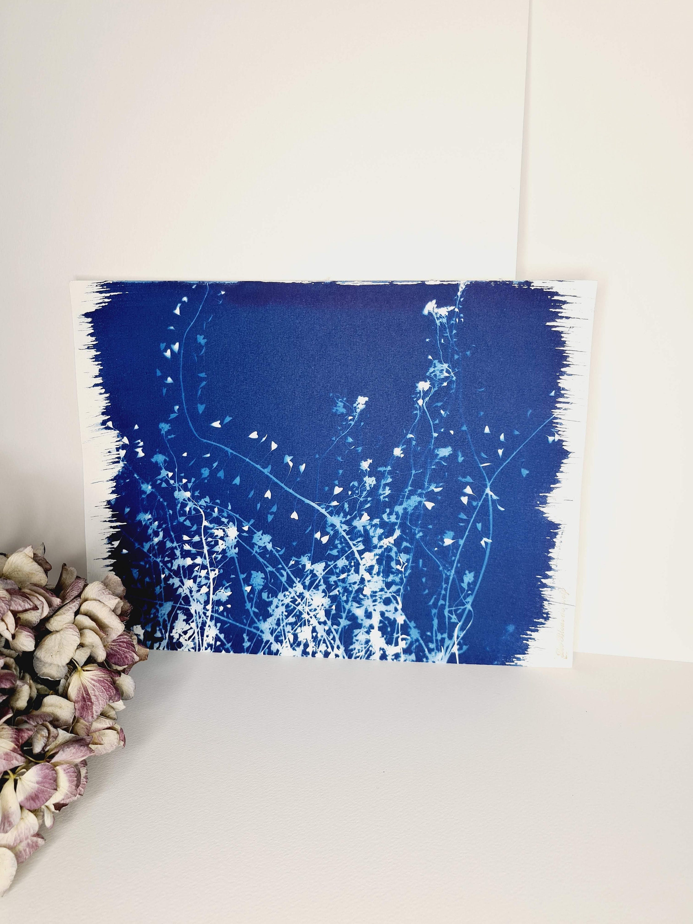 Champ de Bourse à Pasteur 2021 - Cyanotype Original Signé Les Bleus Delf Format 24x32 cm