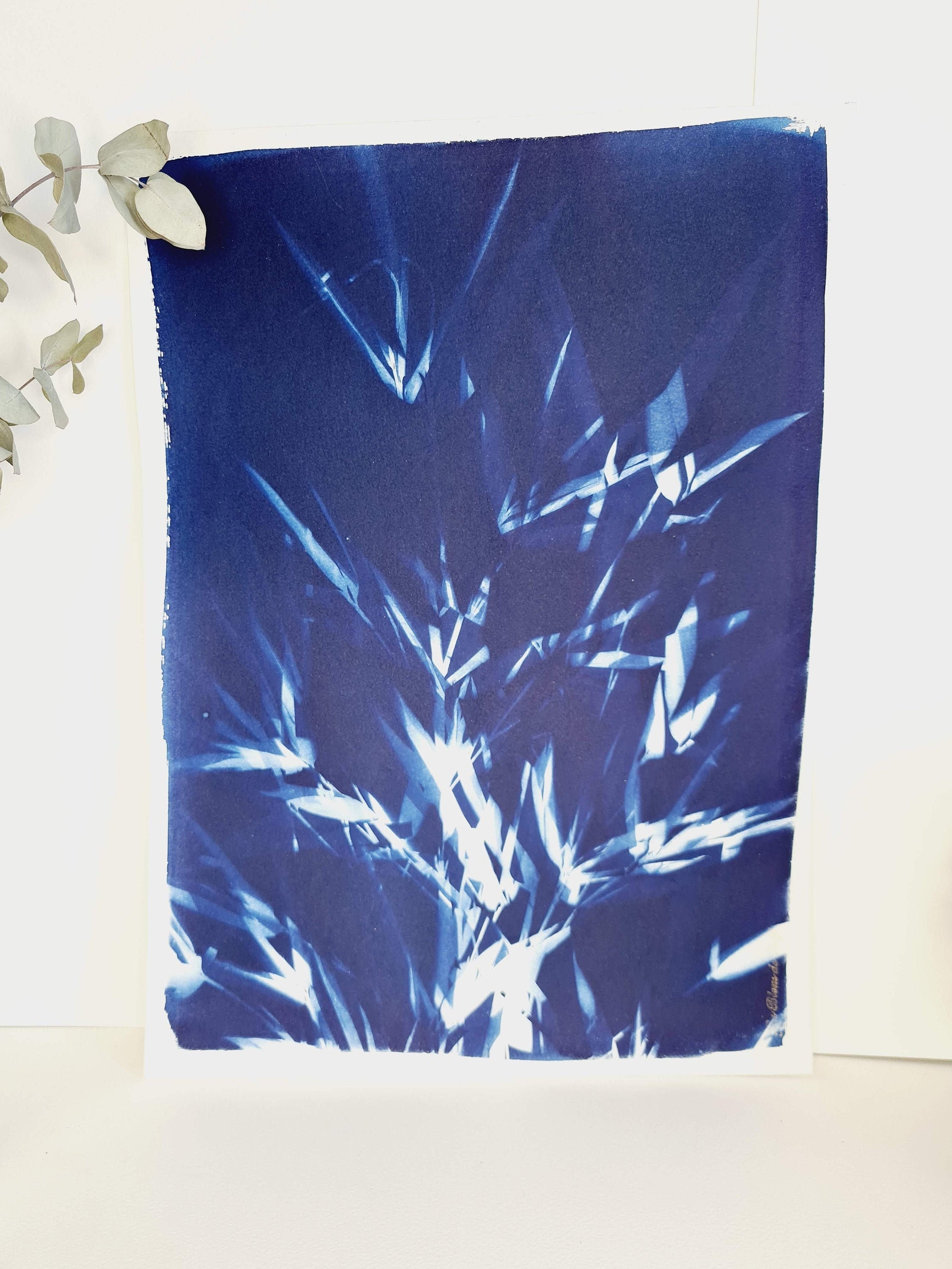 Bouquet de Bambou 2021 - Cyanotype Original Signé Les Bleus Delf Format A3 | 40 cm X 29, 7 cm