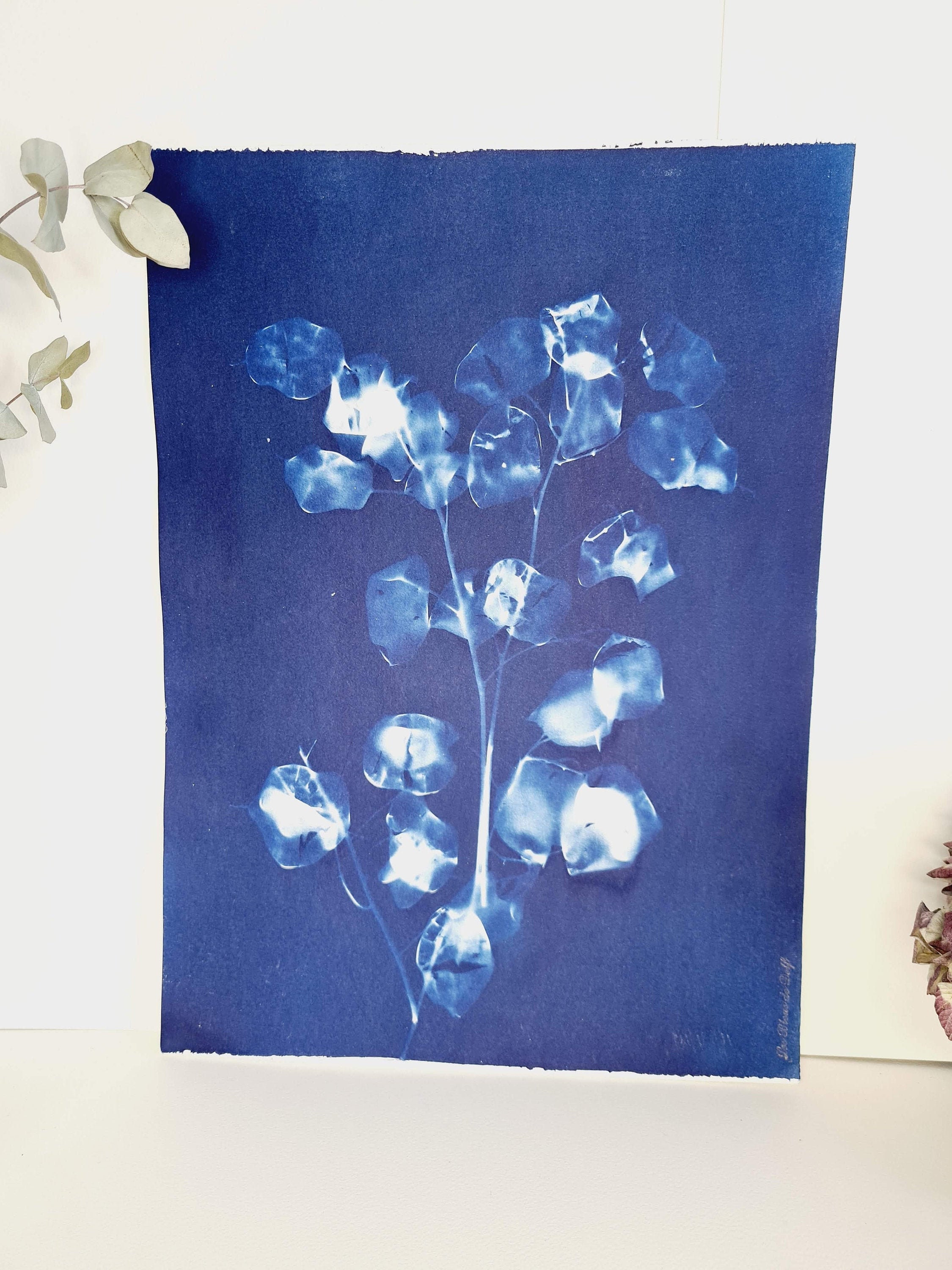 Monnaie Du Pape 2021 - Cyanotype Original Signé Les Bleus de Delf Format A3 | 40 cm X 29, 7 cm