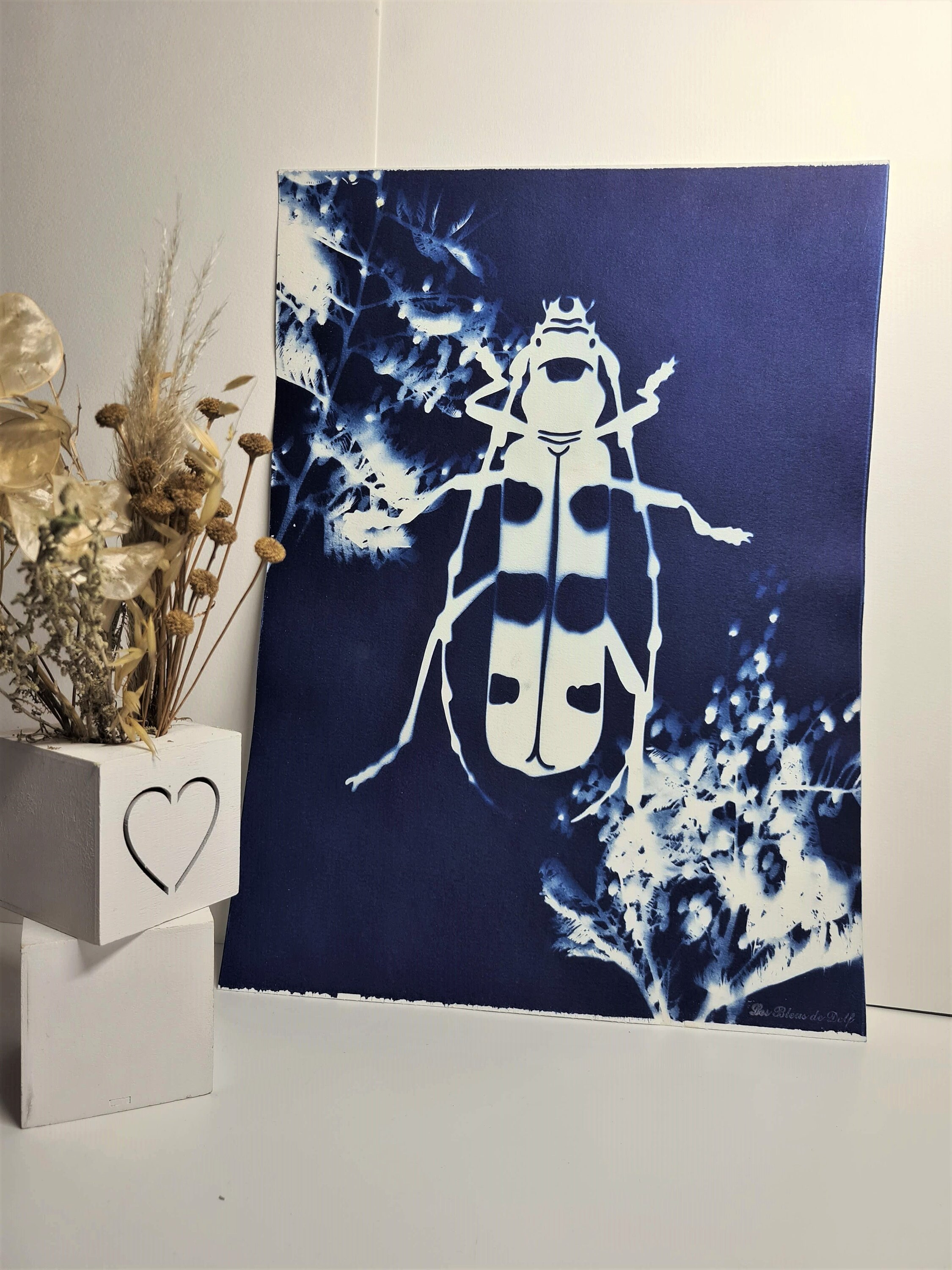 Rosalia Mimosa 2021 - Cyanotype Original Signé Les Bleus de Delf Format A3 40 X 29, 7 cm