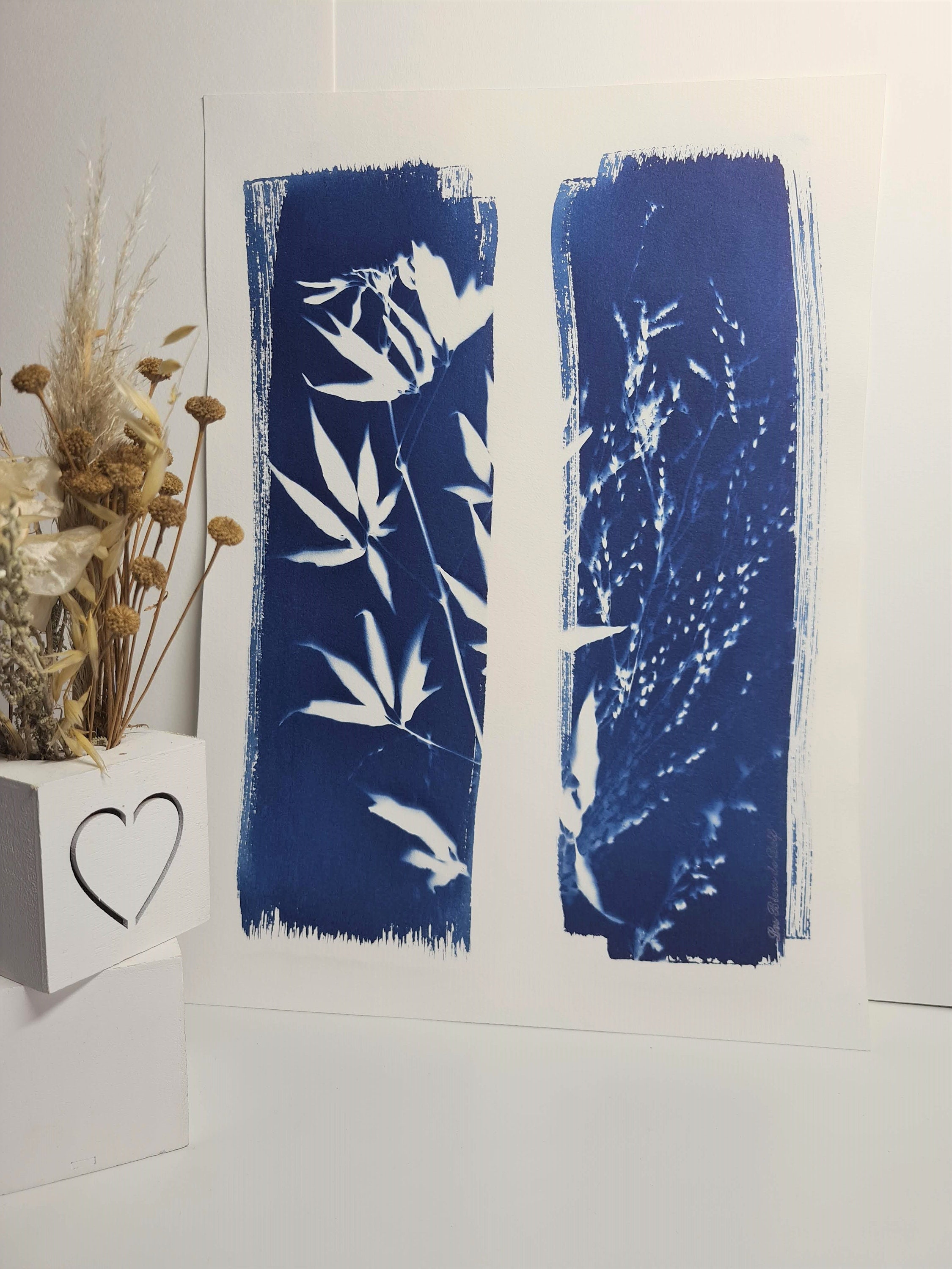 Danseuses Des Champs 2021 - Cyanotype Original Signé Les Bleus de Delf Format A3 | 40 cm X 29, 7 cm