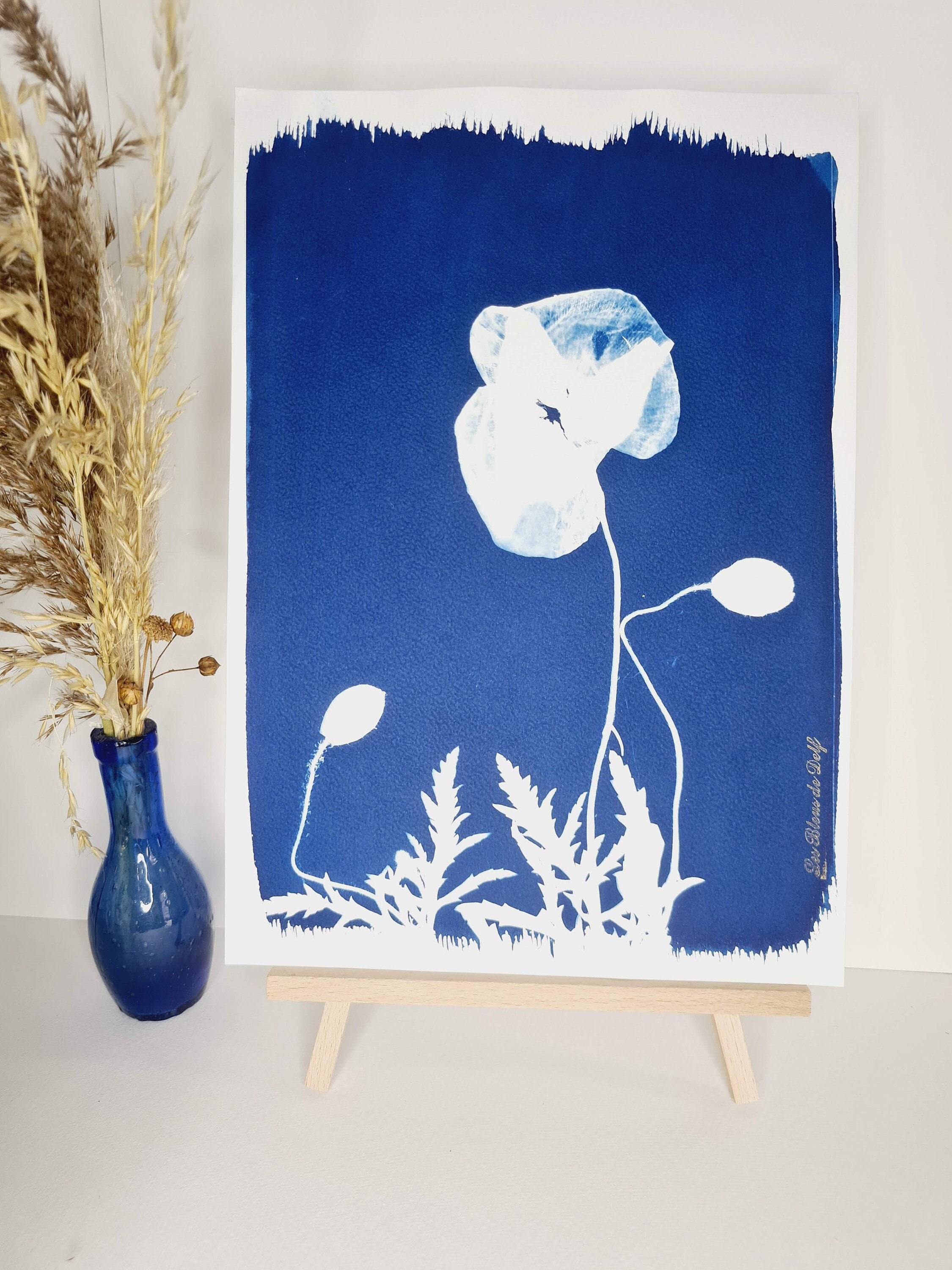 Pavot Royal 2021 - Cyanotype Original Signé Les Bleus de Delf Format A4 | 21x 29, 7 cm.