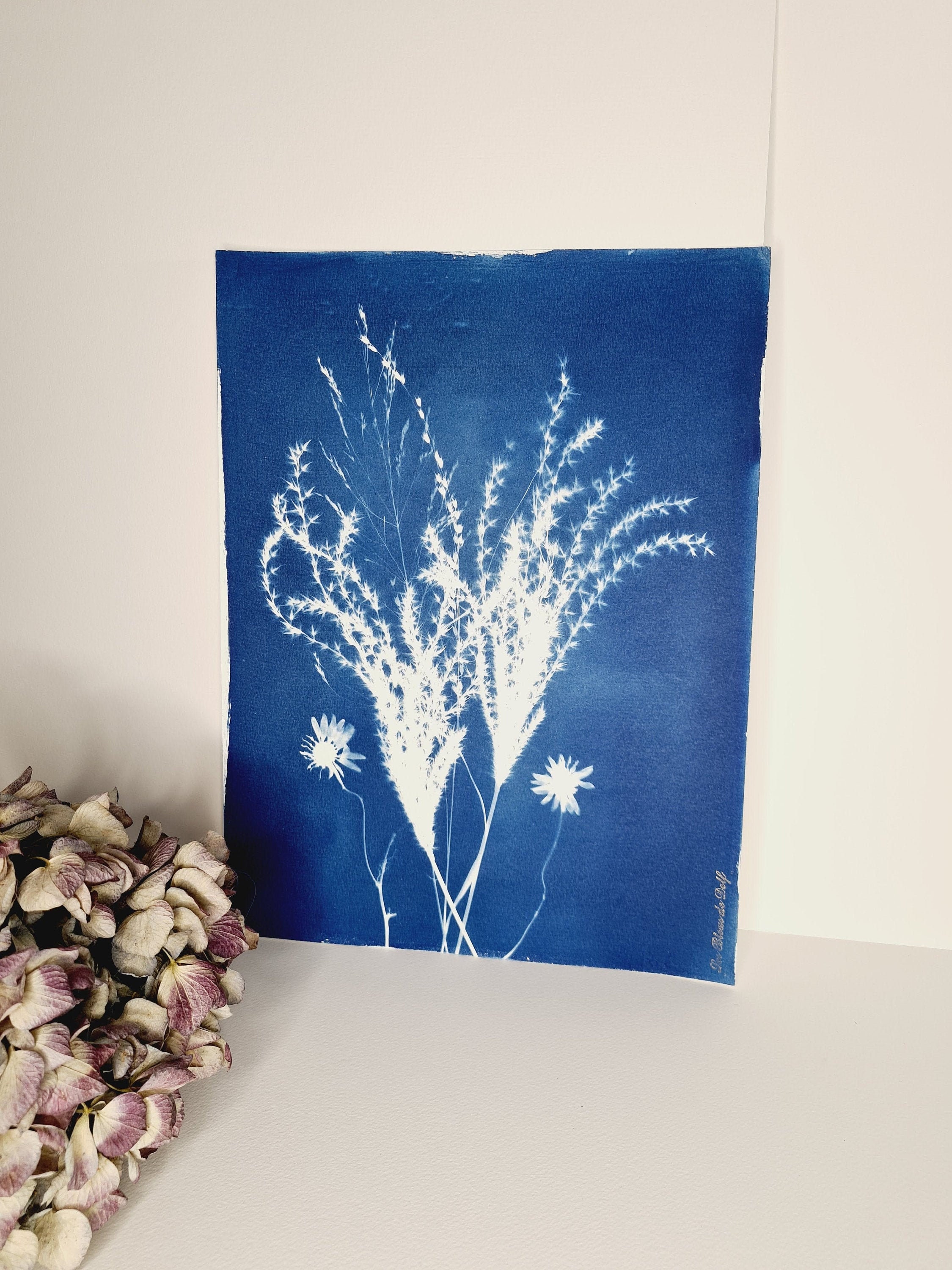 Trésors Des Prés - Cyanotype Original Signé Les Bleus de Delf Format 24 X 32 cm