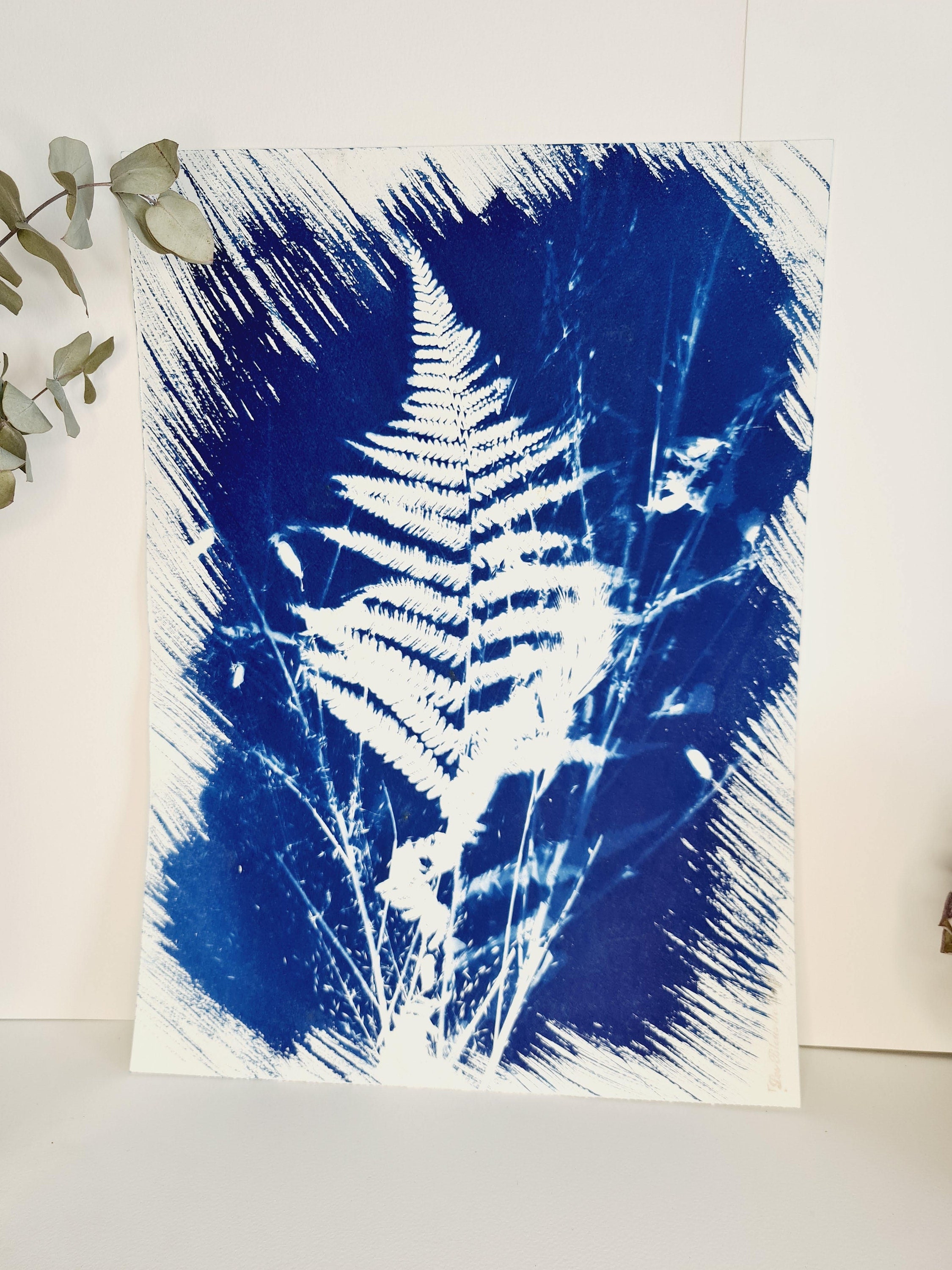 Fougère et Genêts 2021 - Cyanotype Original Signé Les Bleus de Delf Format A3 | 40 cm X 29, 7 cm