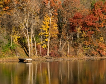 Autumn River