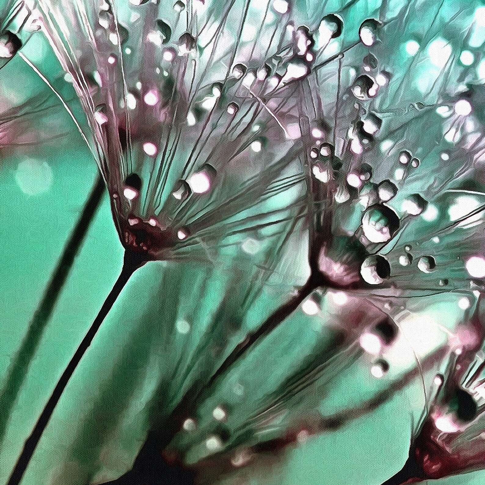 Dandelion Canvas Wall Art 3 Piece Dandelions With Water Drops Etsy