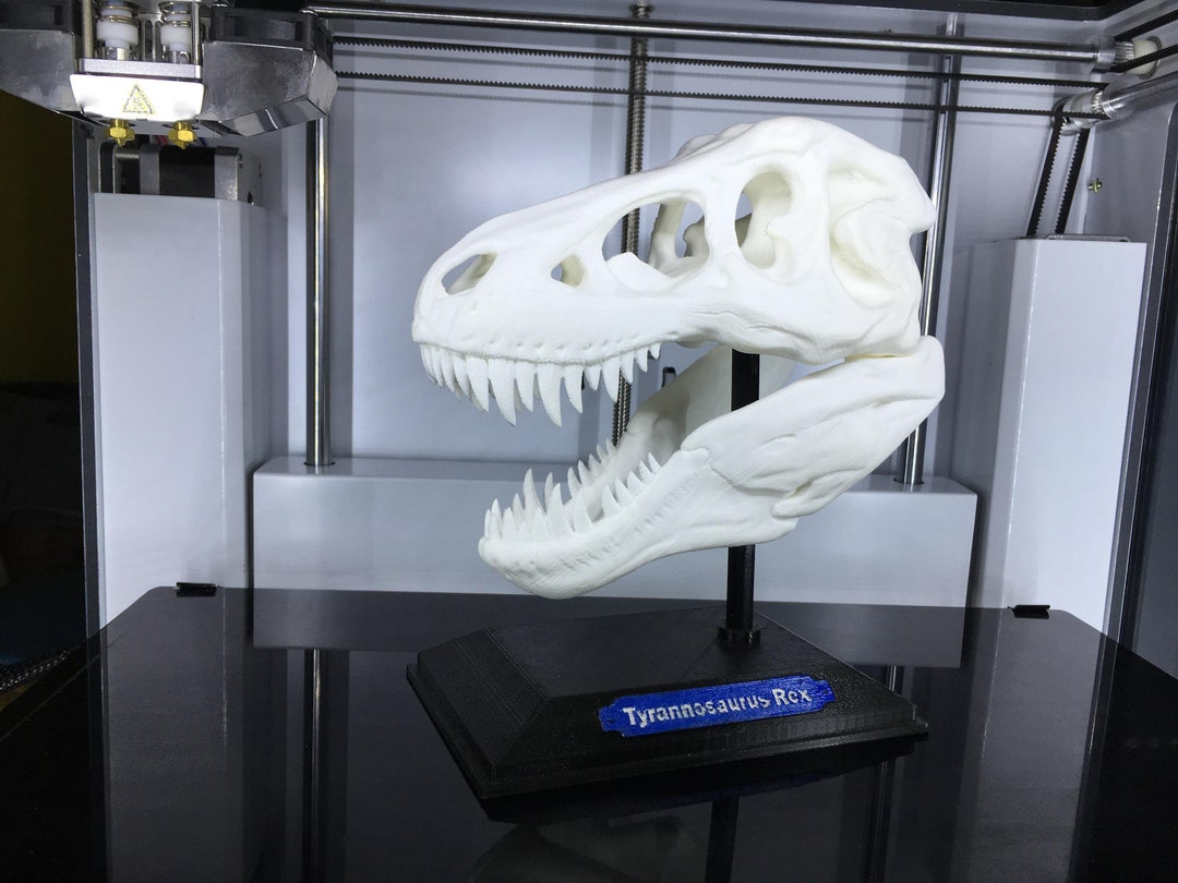 3Dプリント ティラノサウルス T-Rex 頭蓋骨モデル 恐竜 コレクター