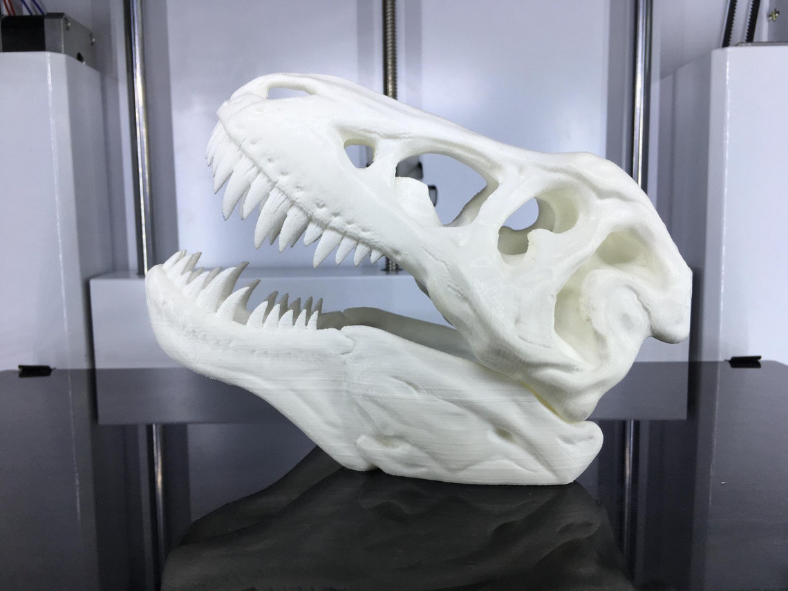 3D Printed Tyrannosaurus T-rex Skull Model Dinosaur | Etsy