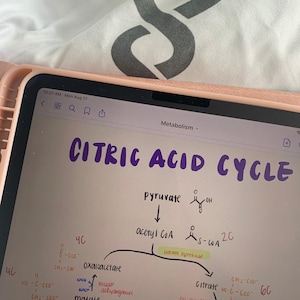 May include: A handwritten diagram of the Citric Acid Cycle, also known as the Krebs Cycle, with the steps of the cycle labeled. The diagram shows the conversion of pyruvate to acetyl CoA, which then enters the cycle. The cycle involves a series of reactions that produce ATP, NADH, and FADH2. The diagram is drawn on a white board with black, orange, and green markers.