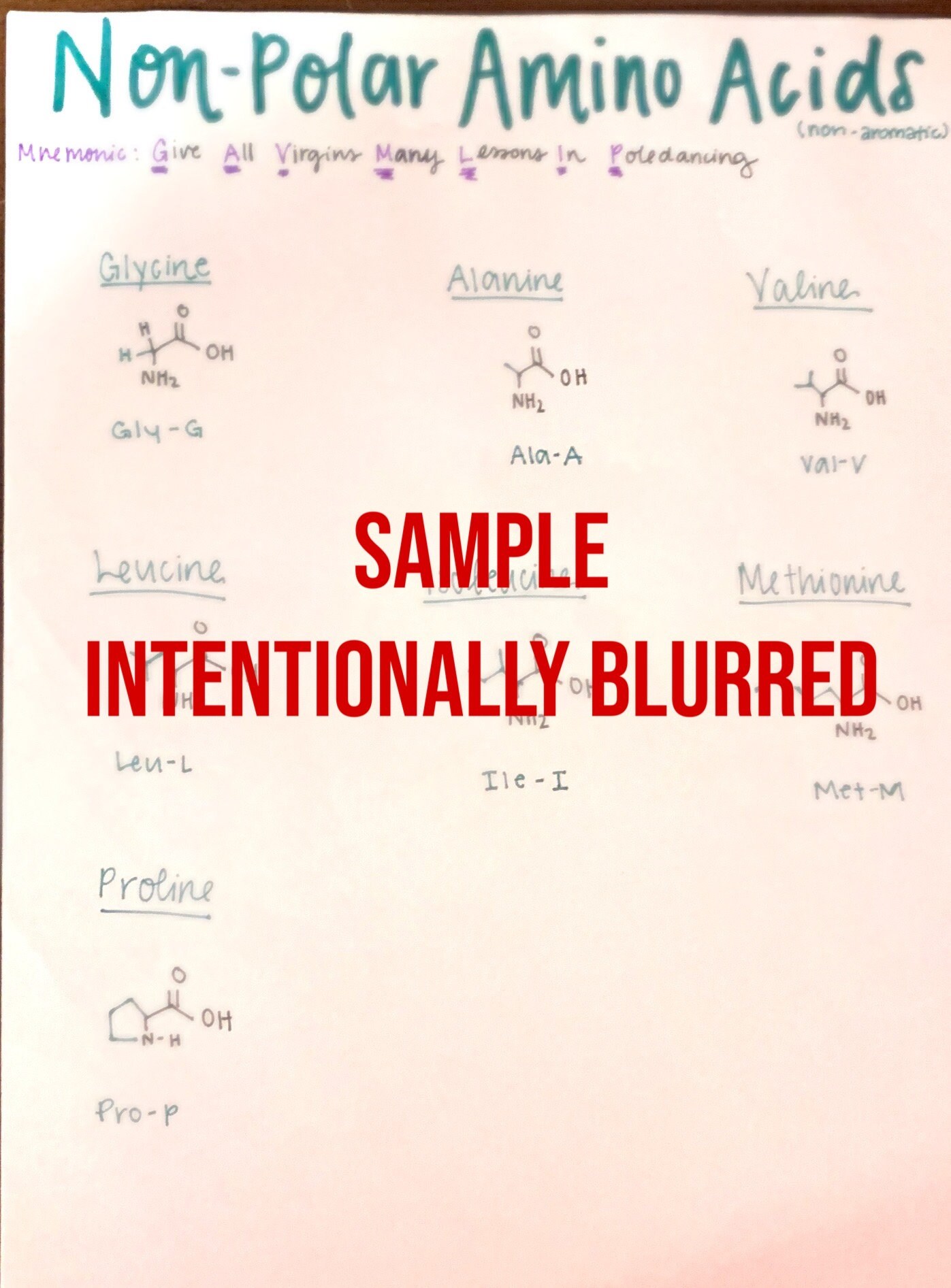 6 Page MCAT Amino Acids Instant Download Etsy