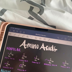6 Page MCAT Amino Acids - Instant Download