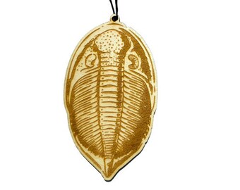 May include: A wooden ornament shaped like a trilobite fossil, a prehistoric marine arthropod. The ornament is brown and has a detailed engraving of the trilobite's exoskeleton. It hangs from a black cord.