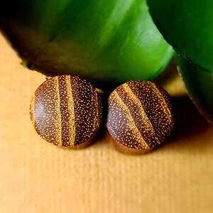 11mm Teak Wood Double Flare Organic Plug