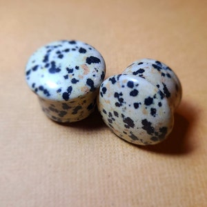 May include: Pair of dalmatian jasper stone ear gauges. The gauges are round and have a speckled pattern of black and white.