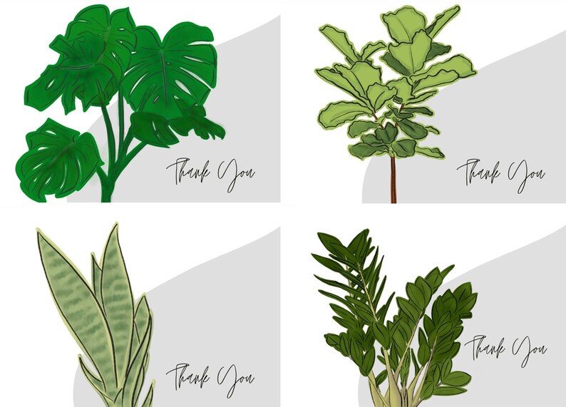 Indoor Plants Variety Pack Stationery Etsy