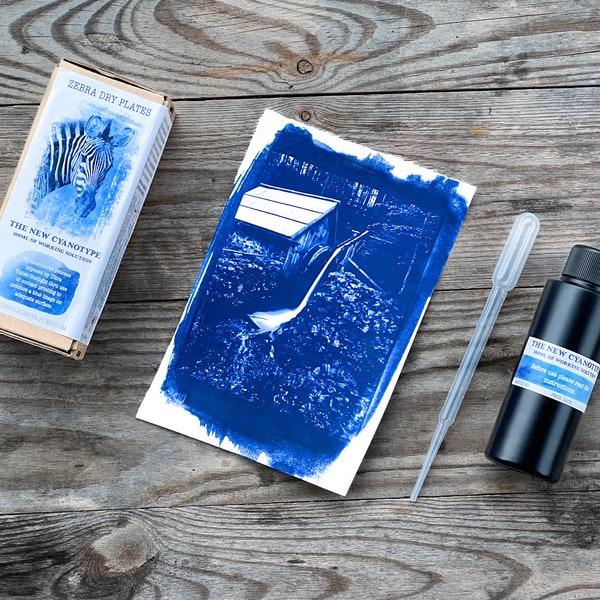 Zebra New Cyanotype Sensitiser (100 ml) / impression solaire, kit de création, impression solaire, plan, photographie alternative d'art botanique, bricolage