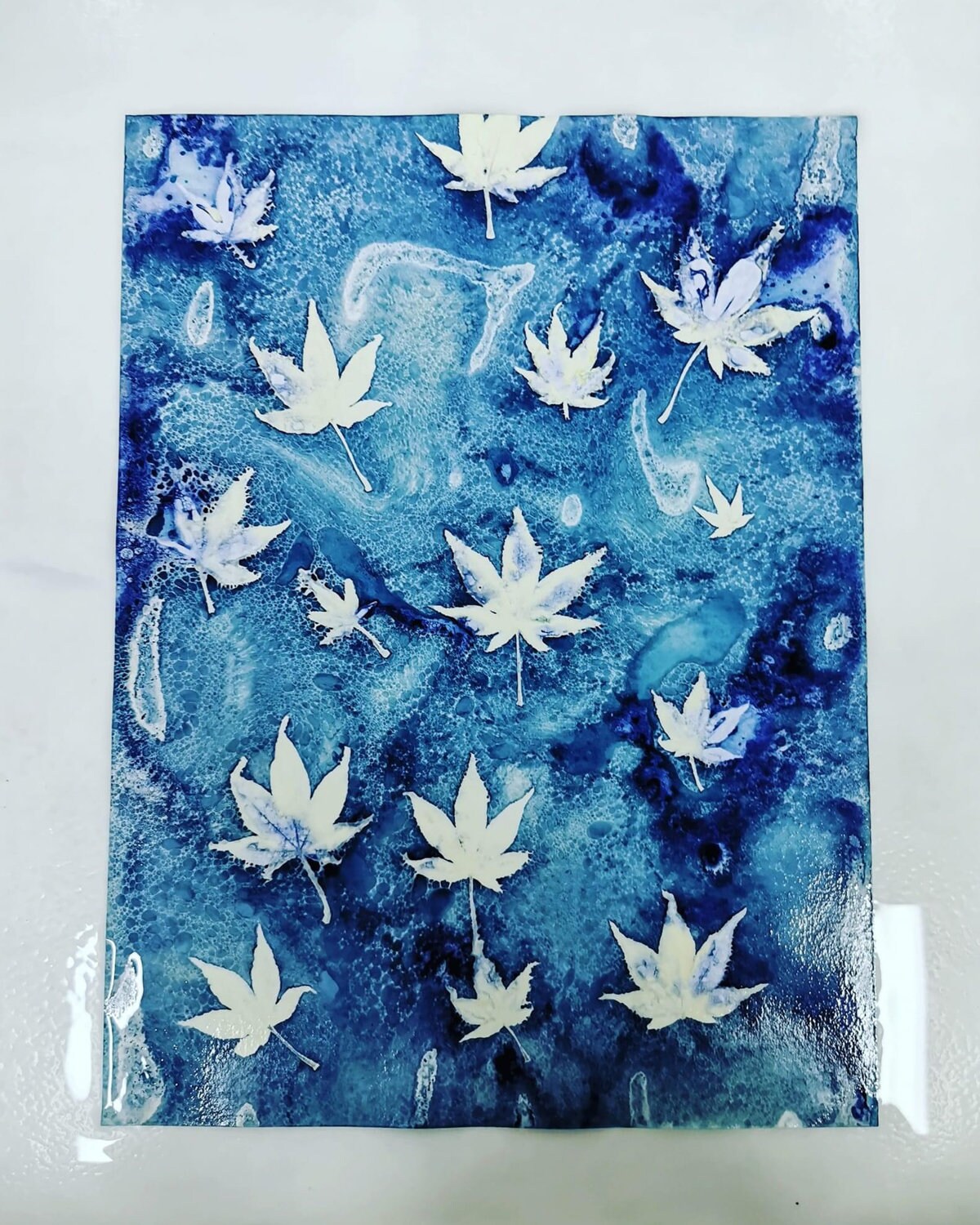 Kit Stampa Cianotipica Fai Da Te - Con Ferricianuro Di Potassio E Citrato, Per Carta E Tessuti - Foto 14