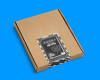 NEW Zebra 8x10 Dry Plate Tintypes / 5 Hand Coated DIRECT POSITIVE Plates / Ferrotypes / Large Format Photography / Black and White