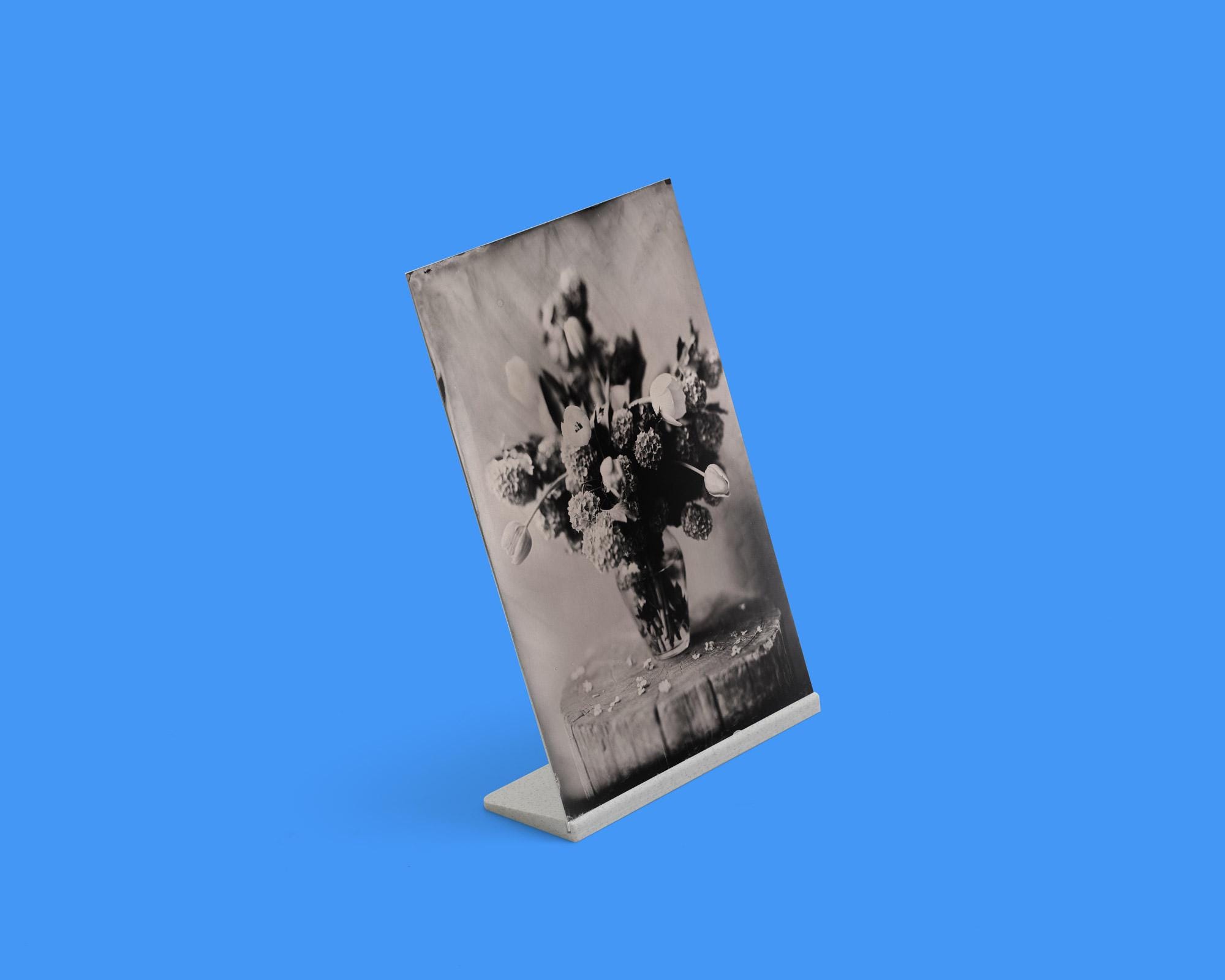 5x7フィルムホルダー - Etsy 日本