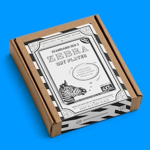 Zebra Standard 4x5 Dry Plates / 10 Hand Coated Silver Gelatine Glass Plates, ASA 2 / Large Format Analog Photography / Black and White