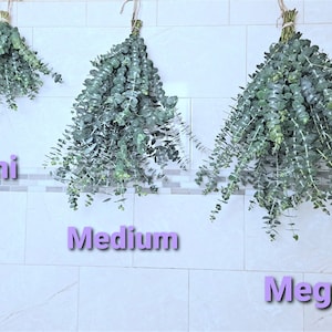 Eucalyptus Shower Bundle, Lavender, Eucalyptus, Aromatherapy,  Stress & Sinus Relief, Self Care, Eucalyptus Lavender Bundles, Home Decor