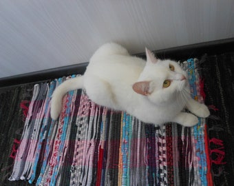 Litter Mat Etsy