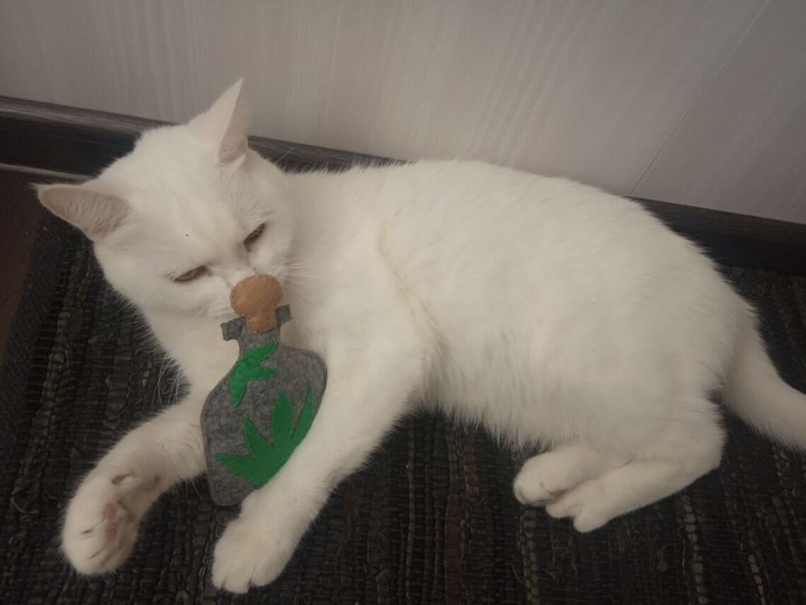 Best cat toys Most expensive tequila Purrtron Cool cat toys Etsy