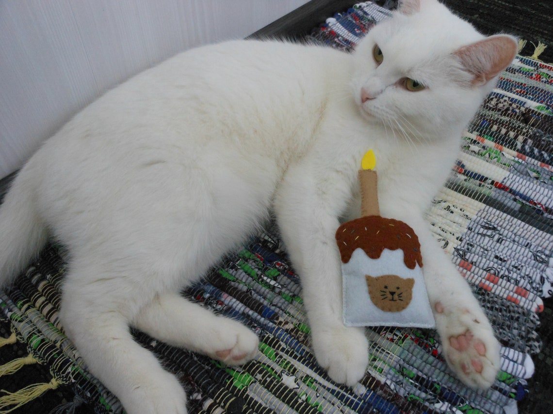 Catnip for cats Cat cake Cat birthday cake Kitten toys Cupcake Etsy