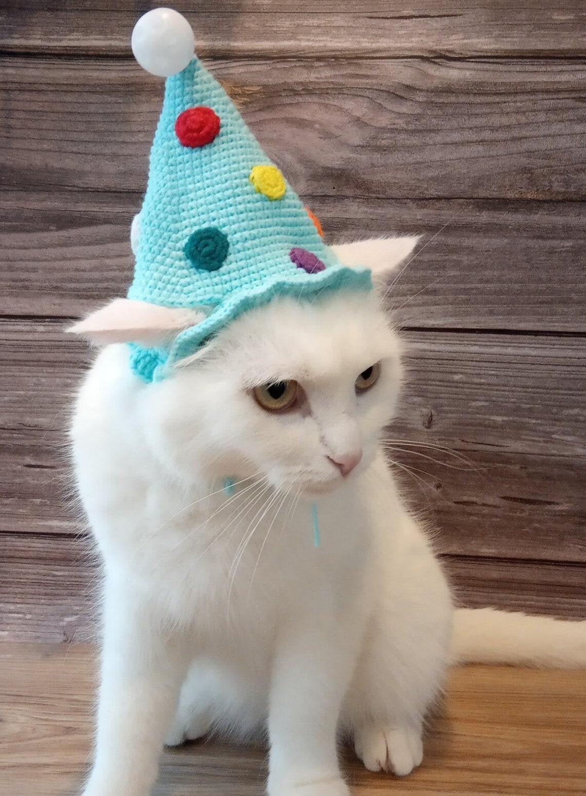 Cat birthday hat Crochet hat kitten Hats for dog Cats wearing Etsy