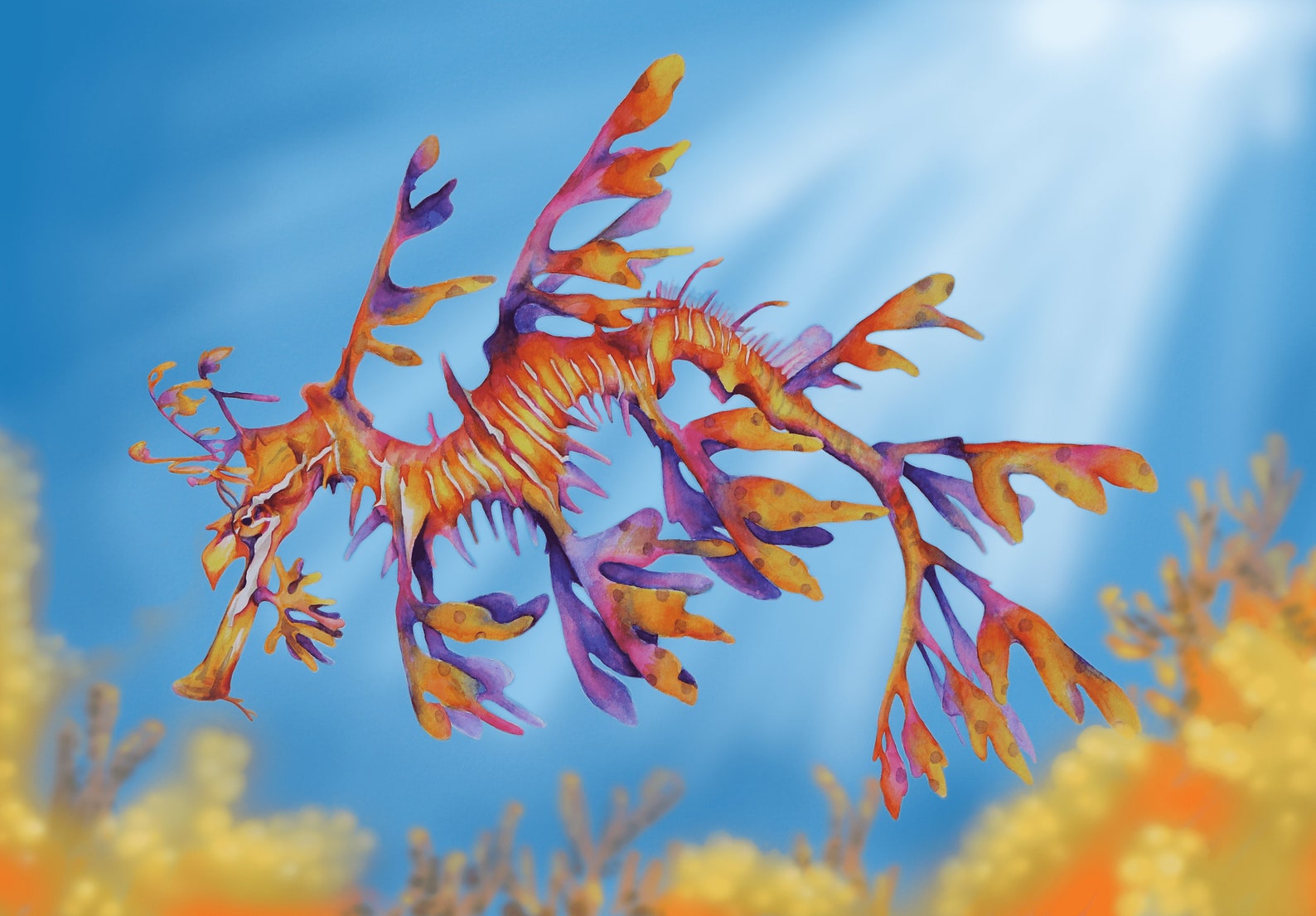 Art Print Weedy Sea Dragon seahorse Etsy